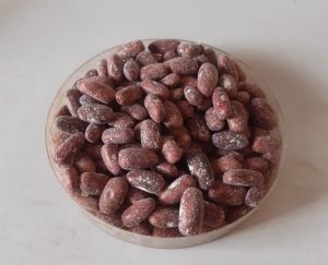 Nyayo Beans
