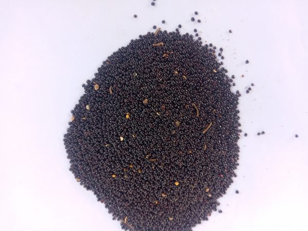 Amarnth with black seeds