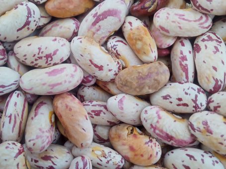 Alulu beans